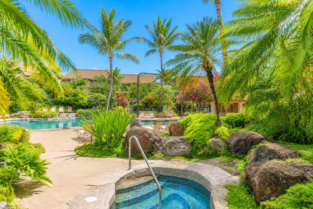 Maui Kamaole I216