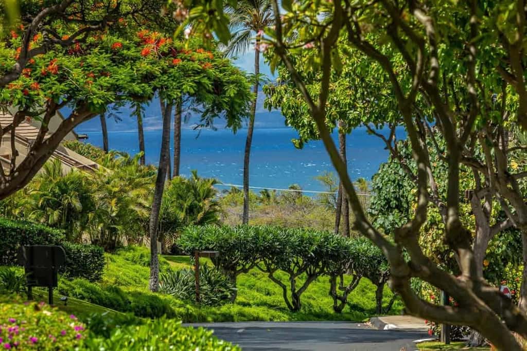 Maui Kamaole I102
