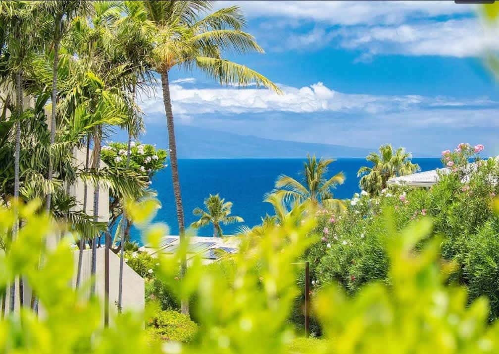 Maui Kamaole I102