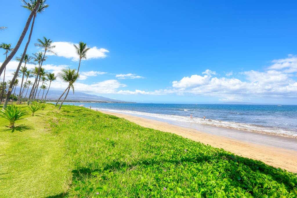 Sugar Beach Resort Condo w/ A/C, Ocean View-Great Location