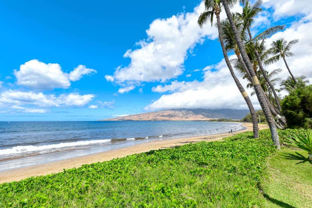 Newly Updated Sugar Beach Resort Condo w/ Free WiFi, Ocean View-Near Everything