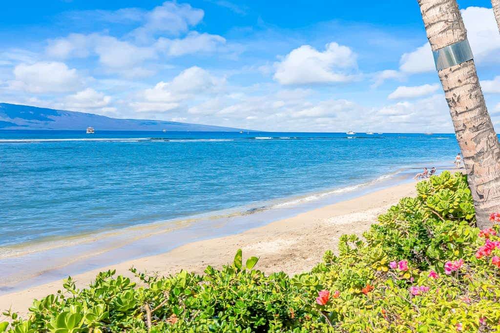 Beachfront condo with ocean-view patio, central ac, pool & beach access