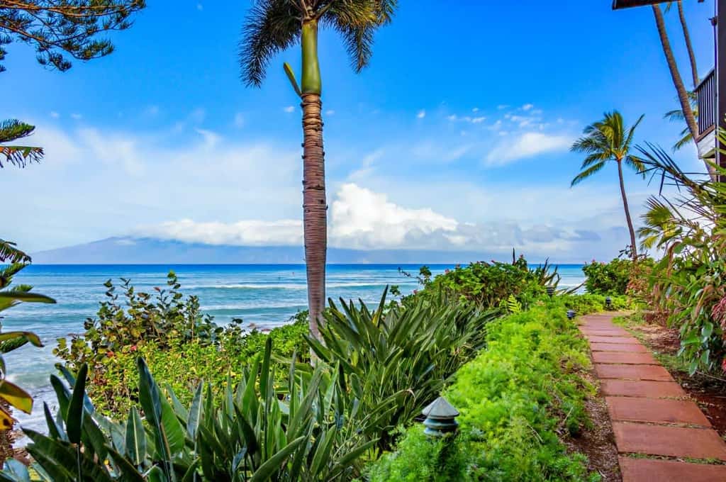 Mahina Surf 114