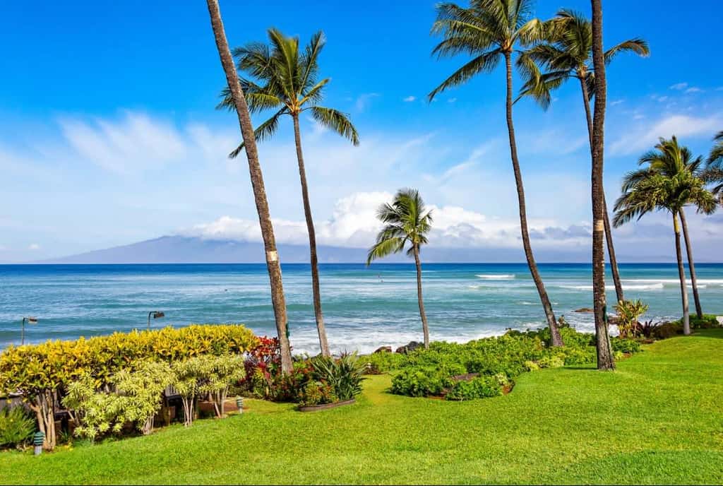 Mahina Surf 114
