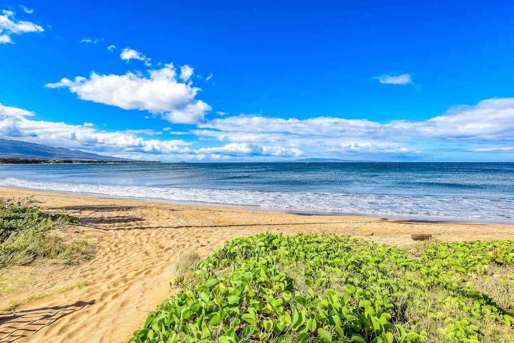 Kihei getaway - private corner condo with beautiful ocean view, bright interior, just steps from the beach