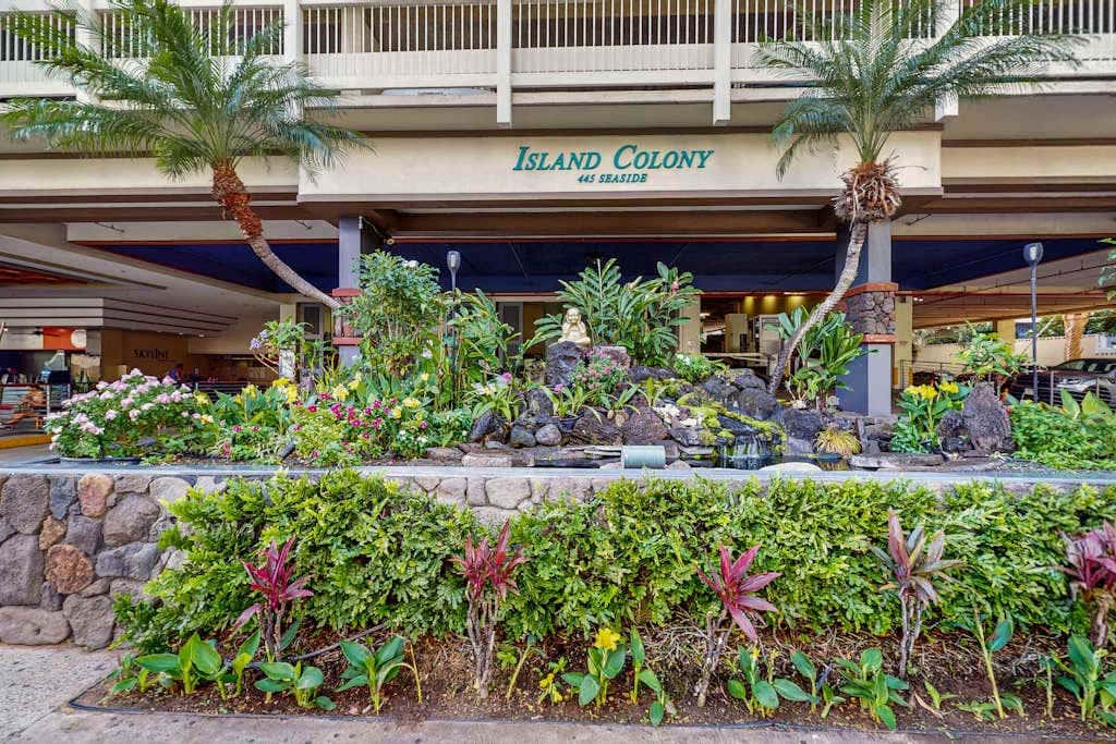 Island Colony 4108