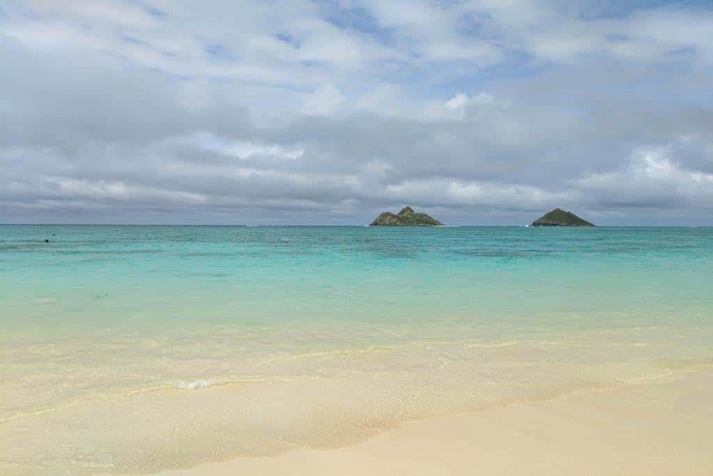 Island Colony 4108
