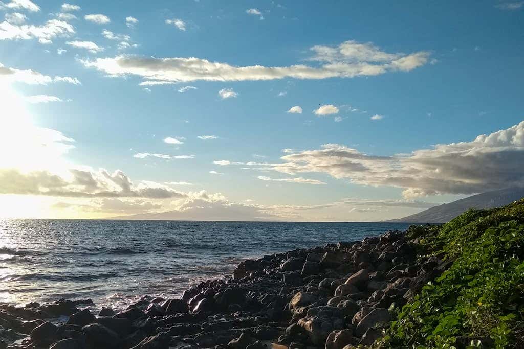 Maui Banyan B204