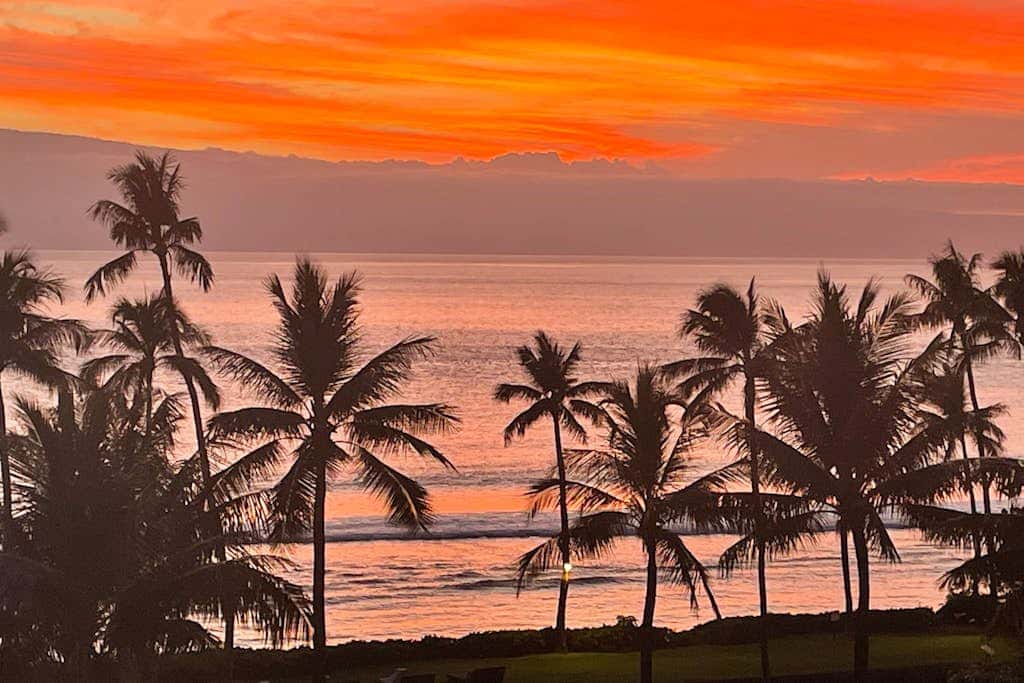 Maui Banyan B204