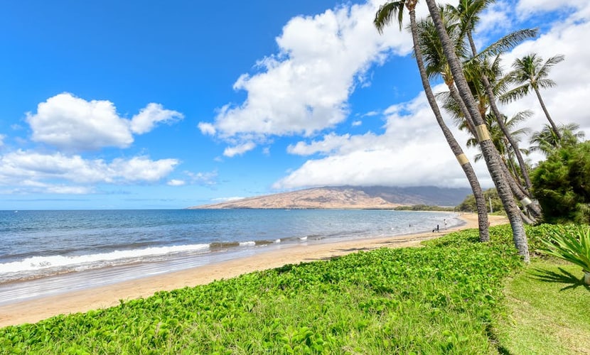 Charming oceanfront condo with lovely views - pool, hot tub & sauna on-site