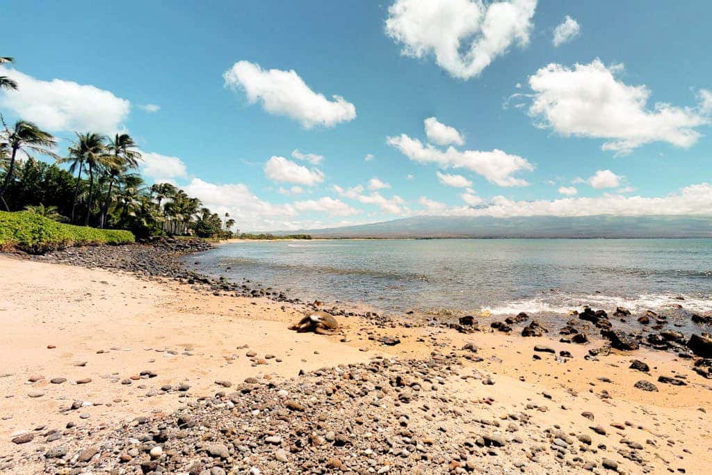 Maalaea Banyans 214