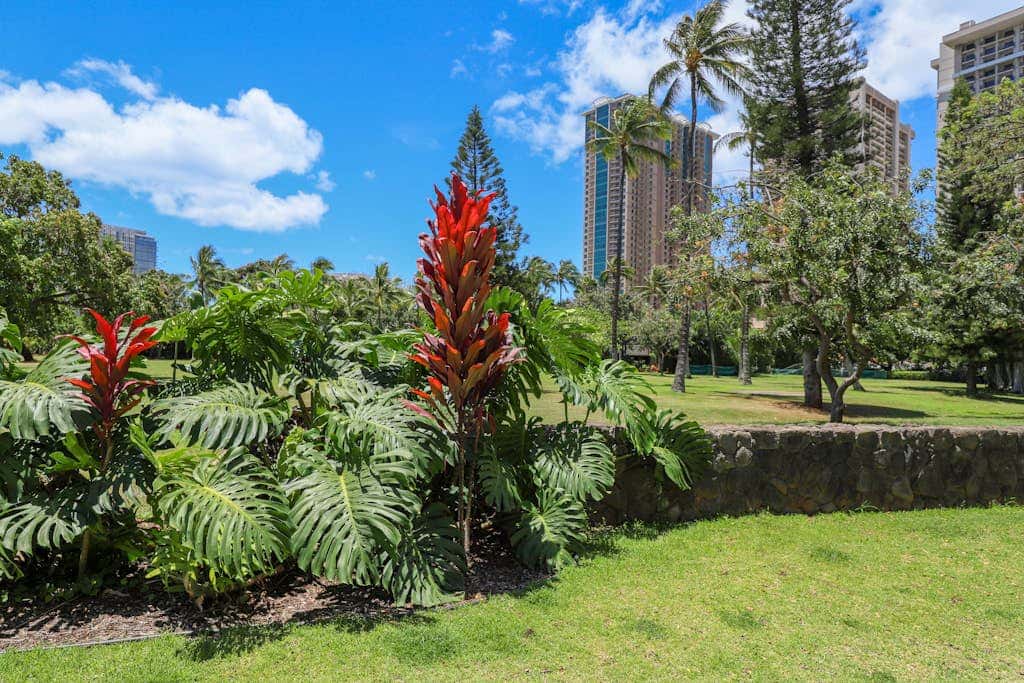 Palms at Waikiki #311