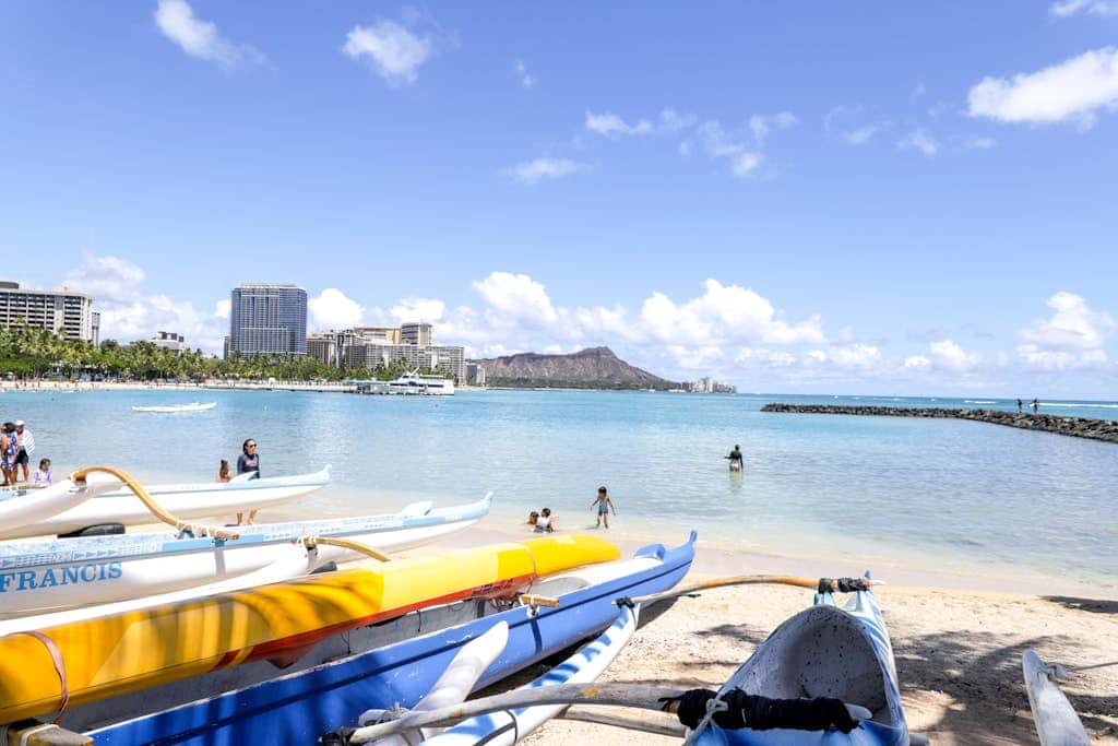 Palms at Waikiki #311