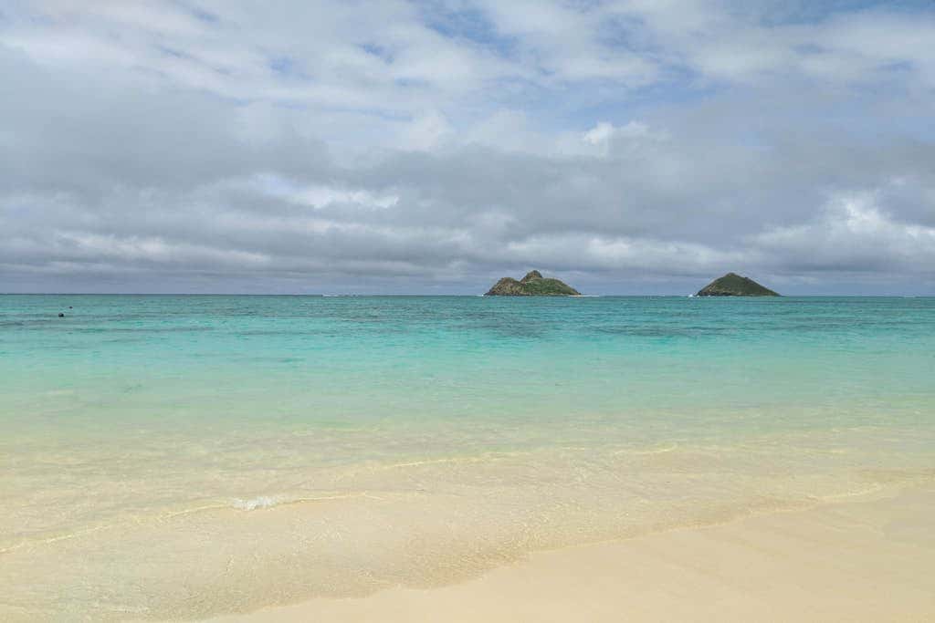 Island Colony 4218