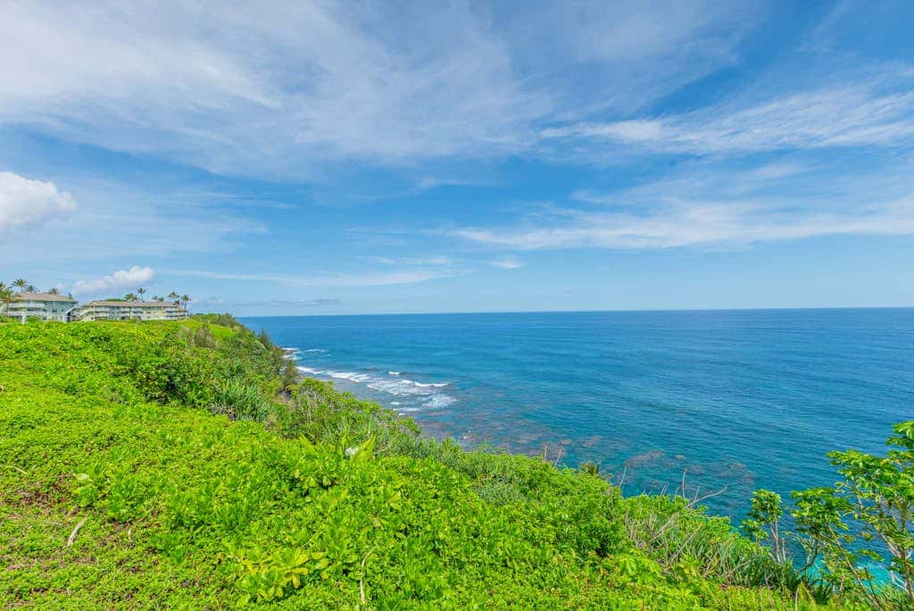 The Cliffs #4204
