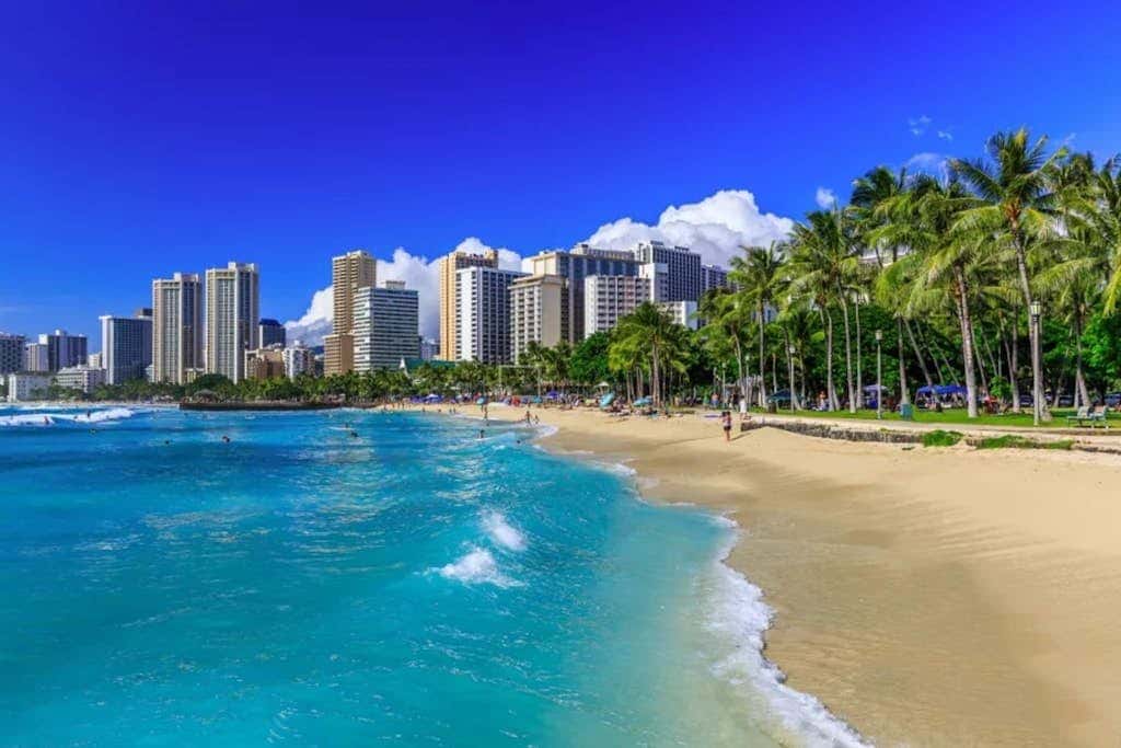 Hawaiian King 205