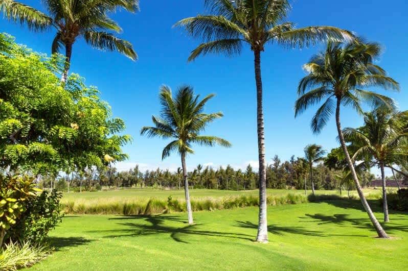 Waikoloa Beach Villas M32