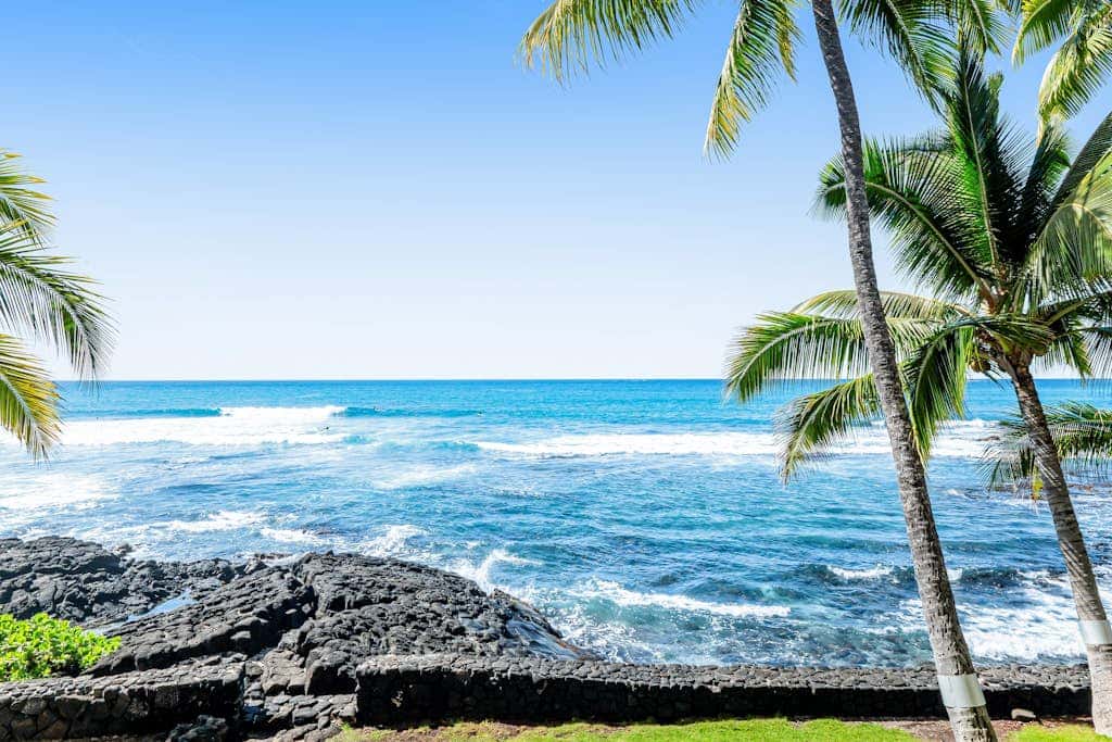 Kona Bali Kai #207