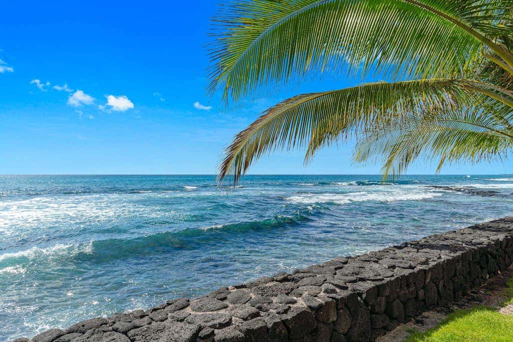 Kona Bali Kai #207