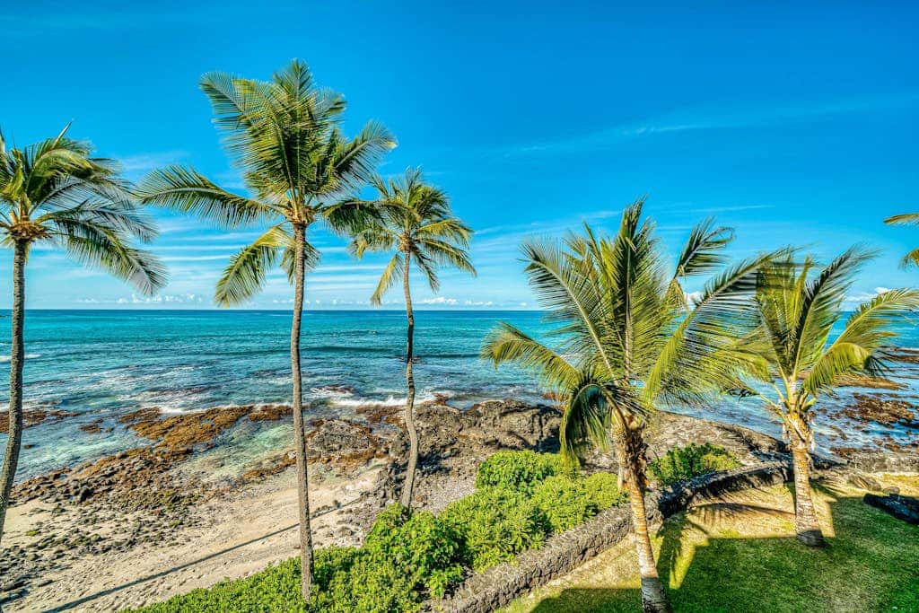 Kona Bali Kai #207