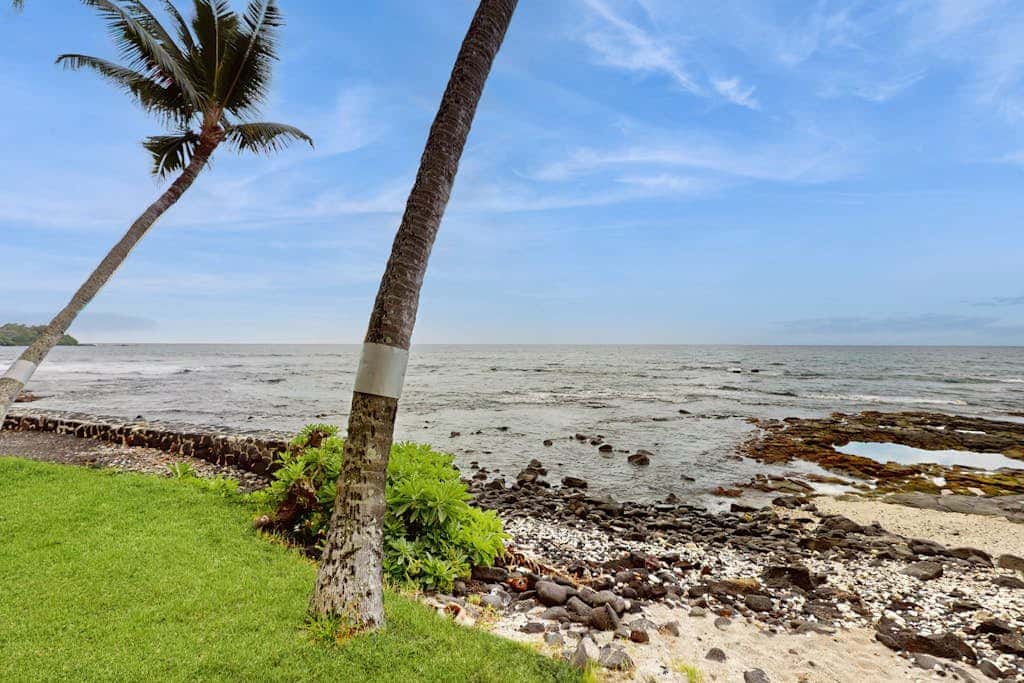 Kona Bali Kai #207