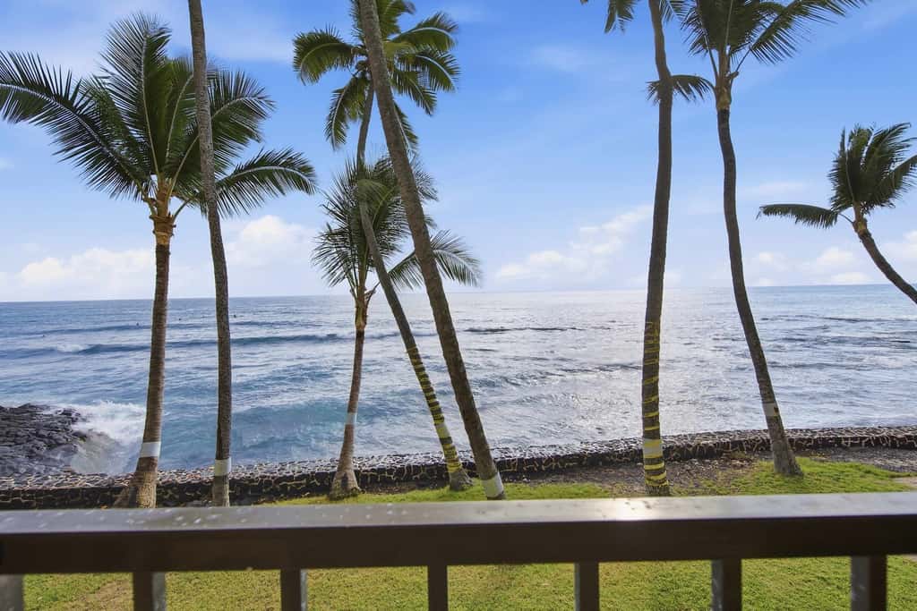 Kona Bali Kai #207