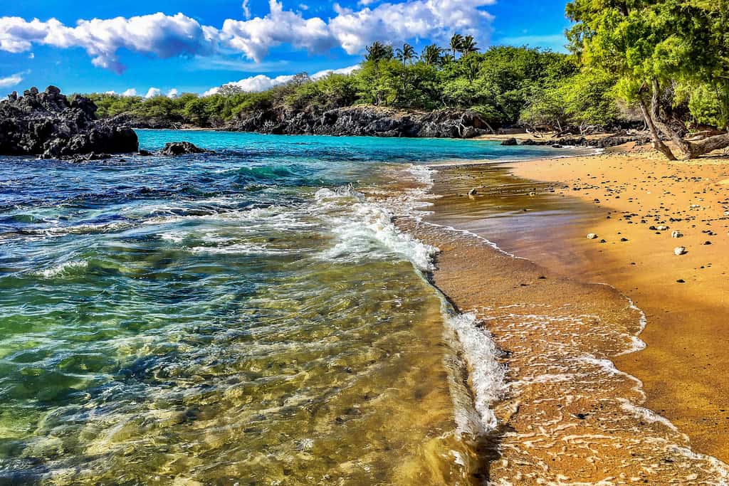 Kona Bali Kai #418