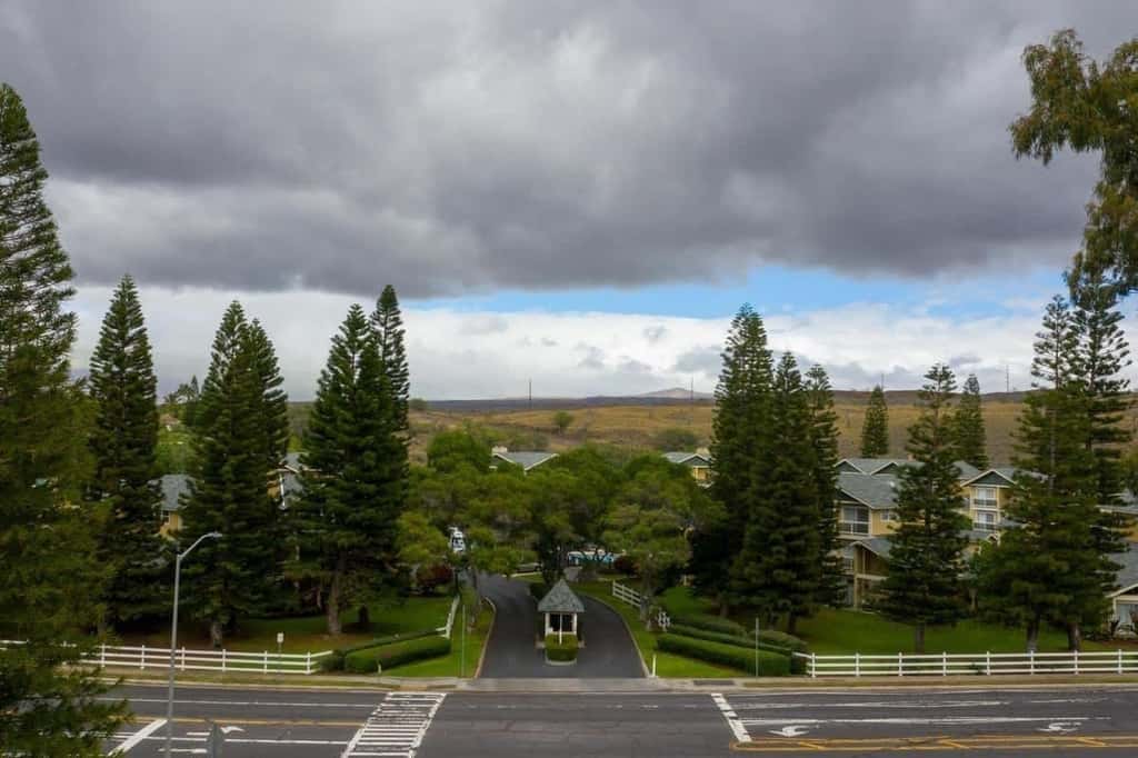 Waikoloa Hills #105 - Pineapple Paradise