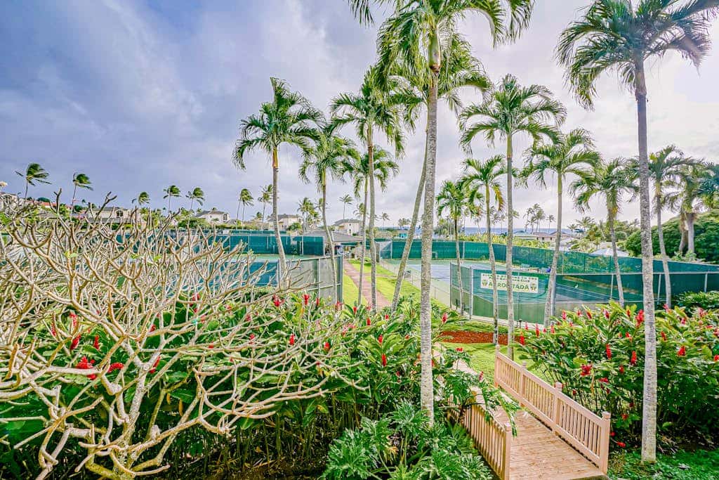 Manualoha 504