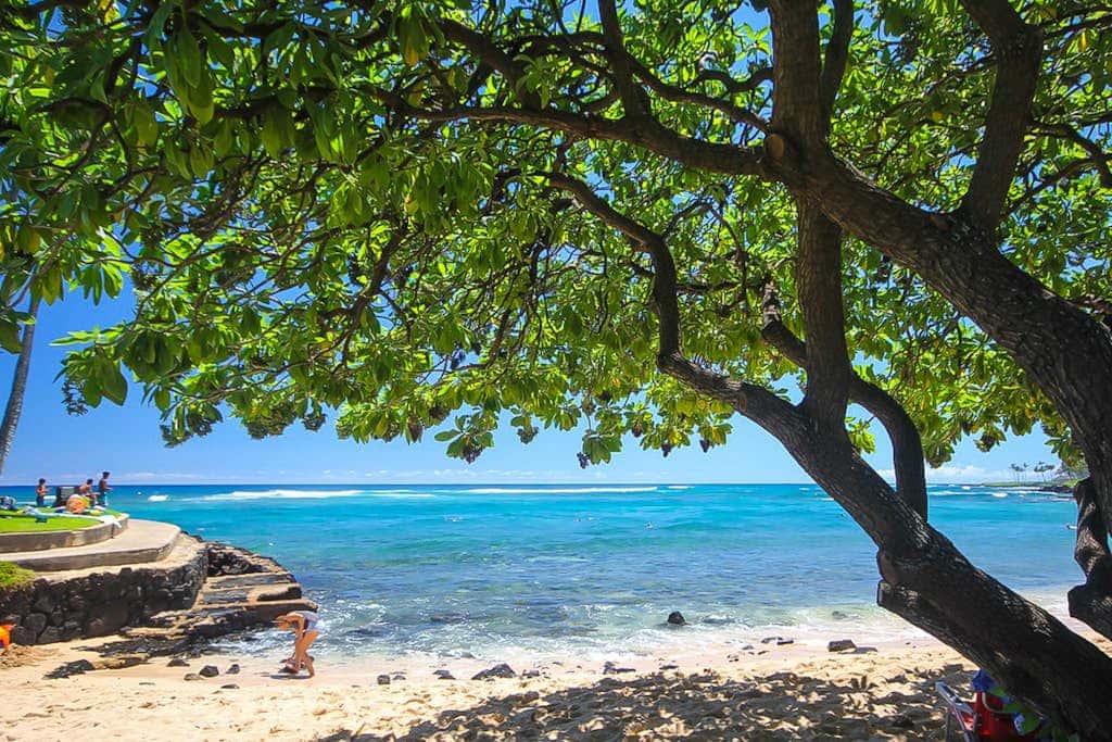 Kuhio Shores 316