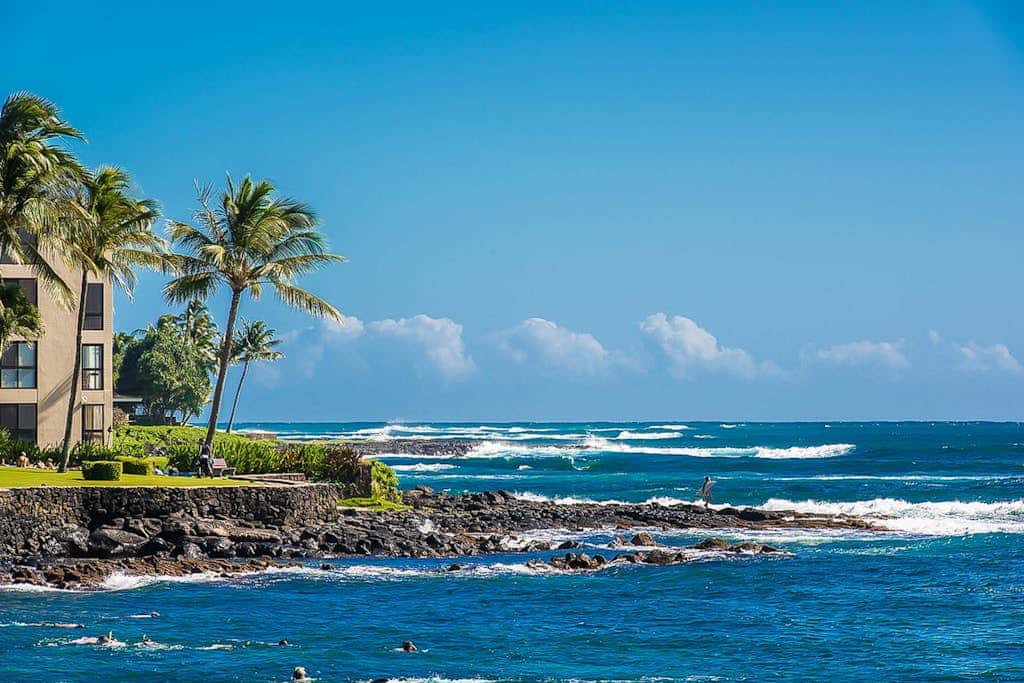 Kuhio Shores 316