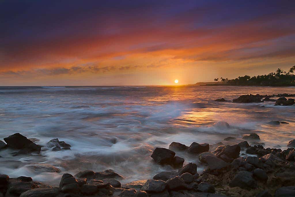 Kuhio Shores 316