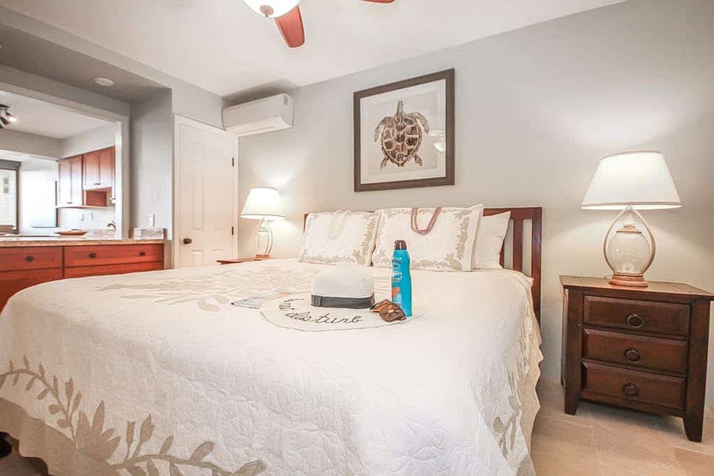 Beachfront Condo w/Partial A/C, Lanai, Ocean Views, Free WiFi, Shared W/D, & BBQ