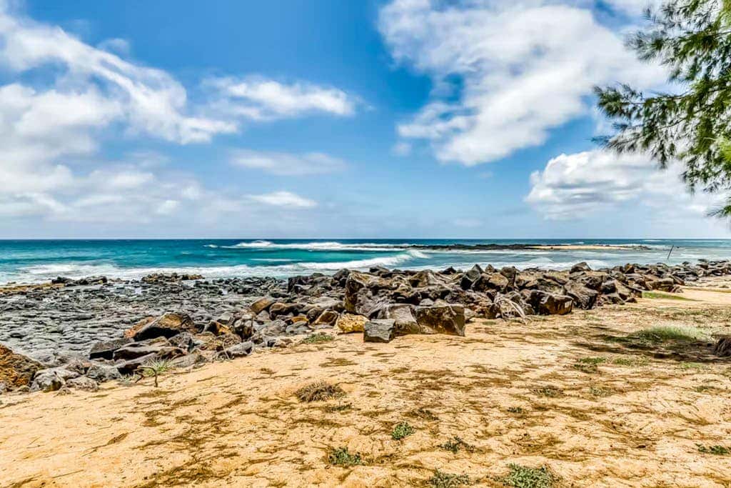 Manualoha 501