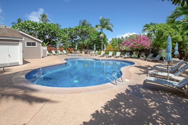 August Sale!
Grand Champions 87 ocean-view condo with pool, hot tub & washer/dryer