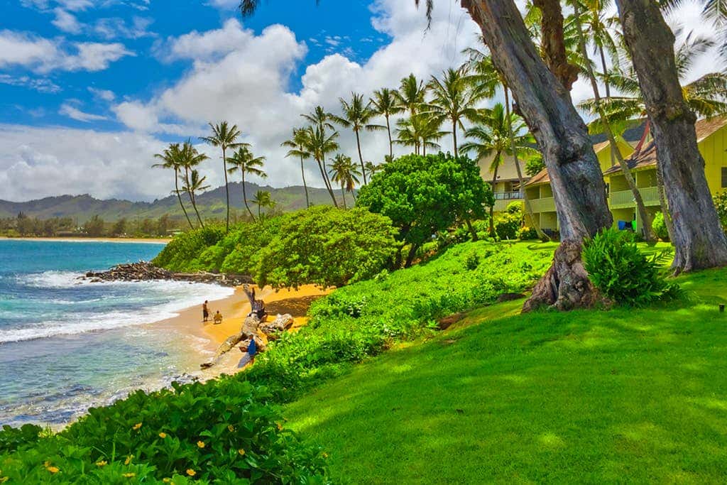 Kapa'a Sands 14