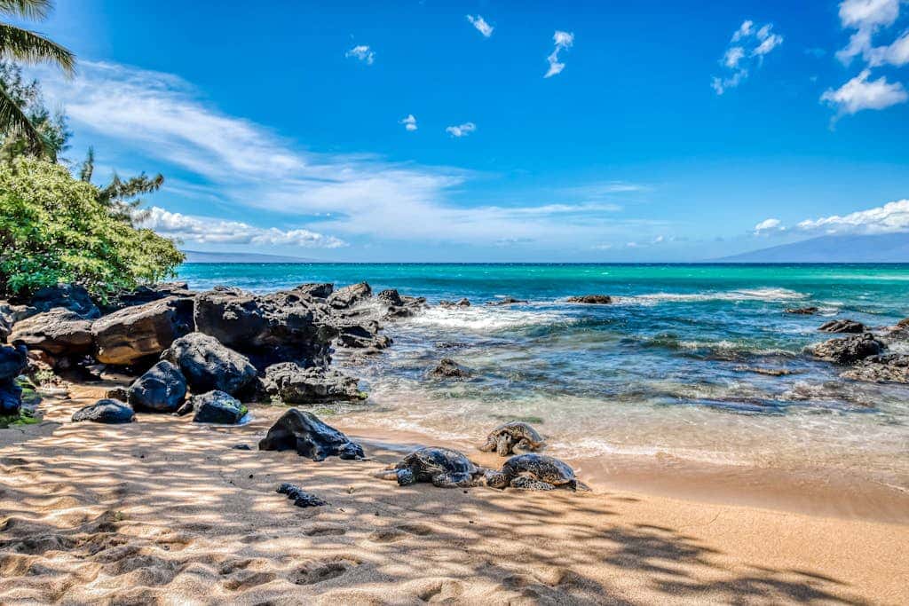 Mahina Surf 127