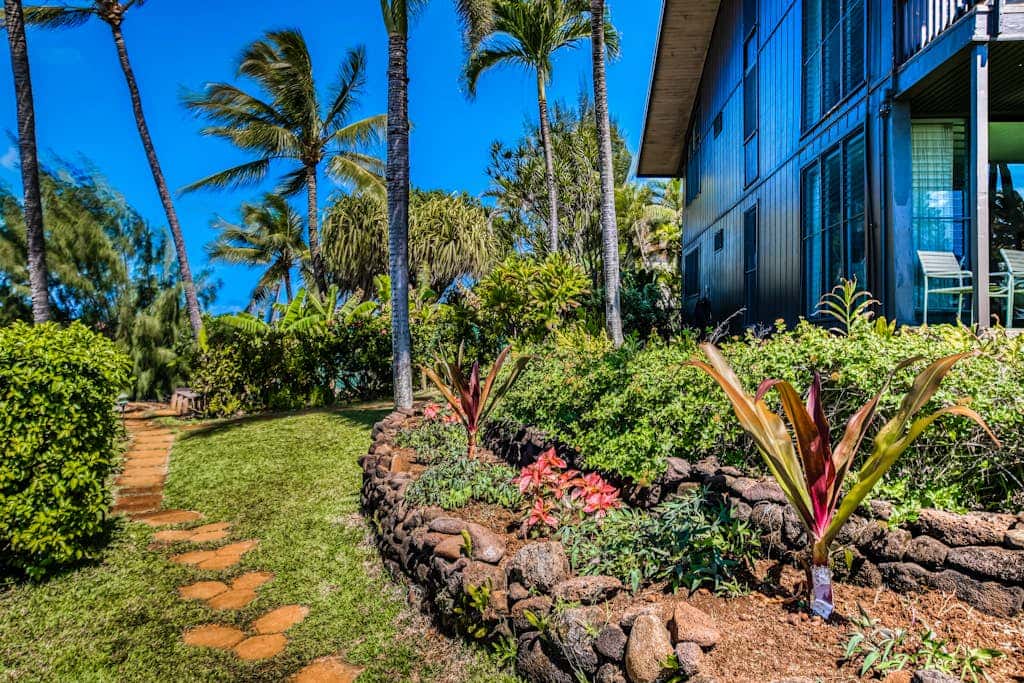 Mahina Surf 127