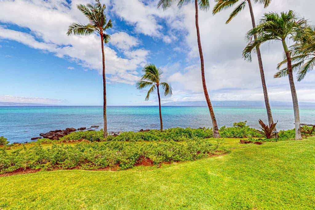 Mahina Surf 127