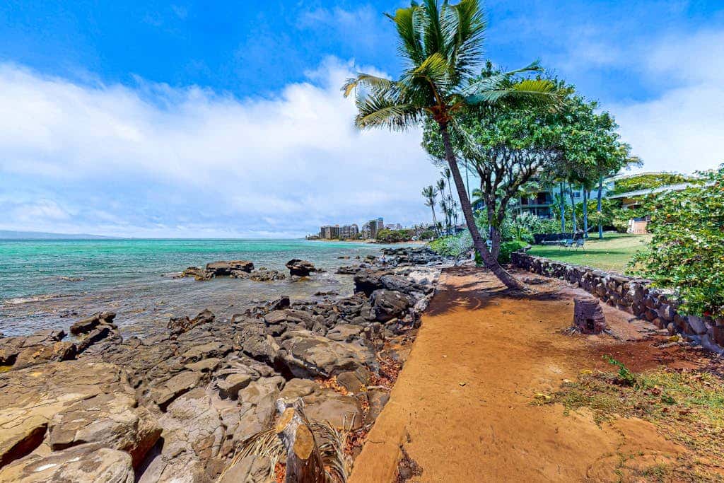 Mahina Surf 127