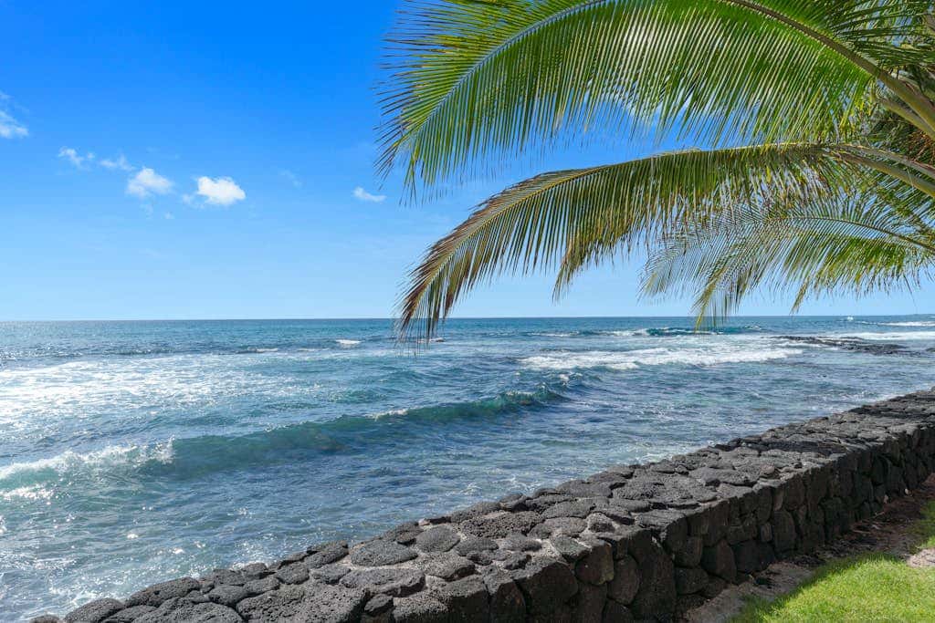 Kona Bali Kai #367