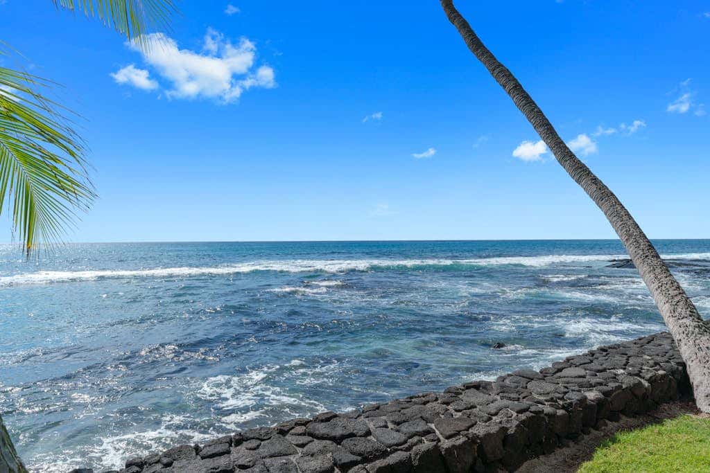 Kona Bali Kai #367