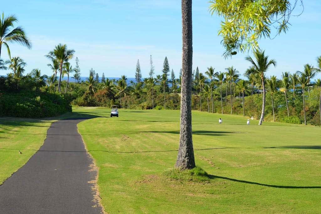 Shores at Waikoloa 214