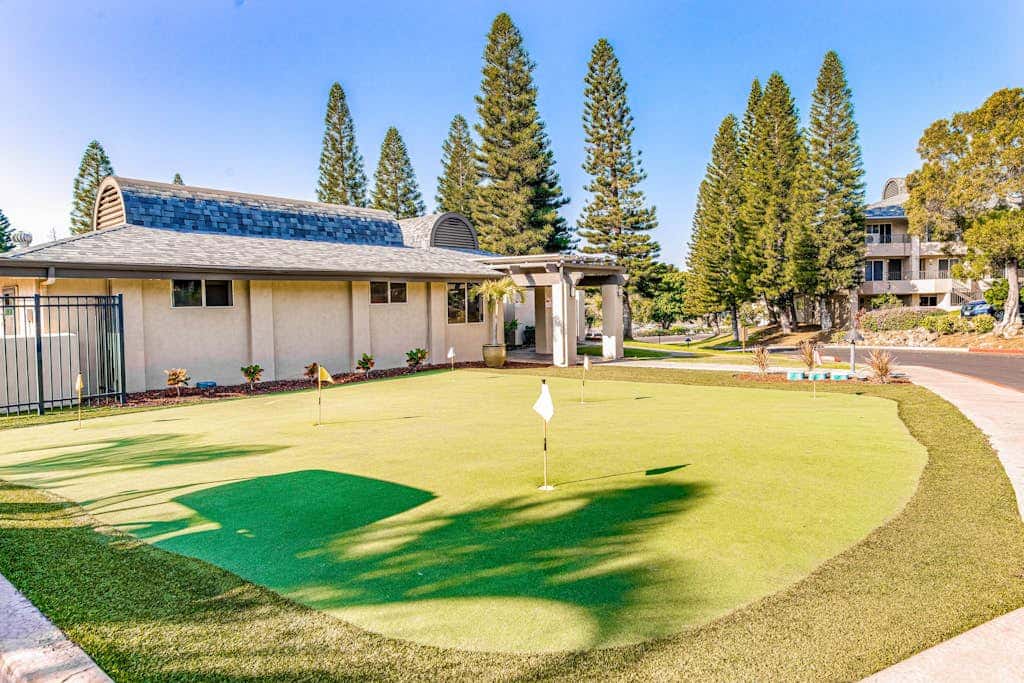 Paniolo Greens at Waikoloa C212