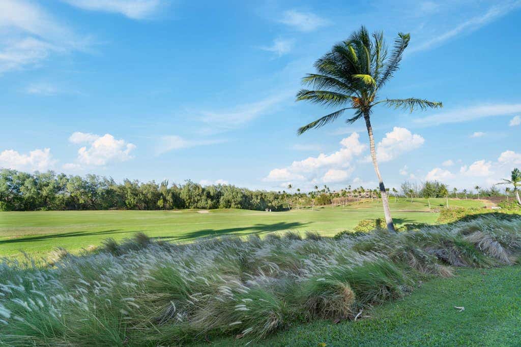 Waikoloa Fairway Villas N-5