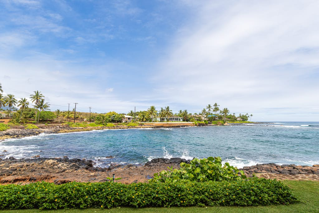 Kuhio Shores 107