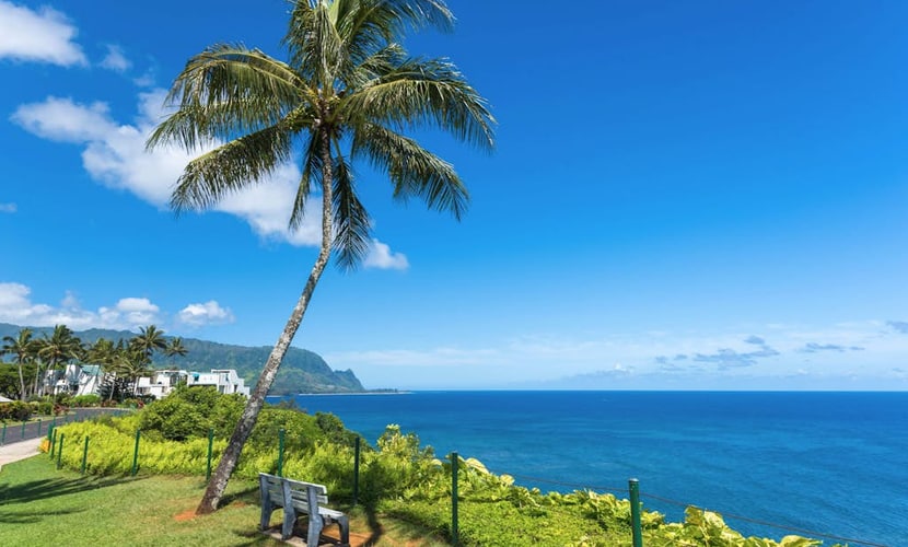 Hawaiian condo with WiFi, shared pool & hot tub - close to golf, beach