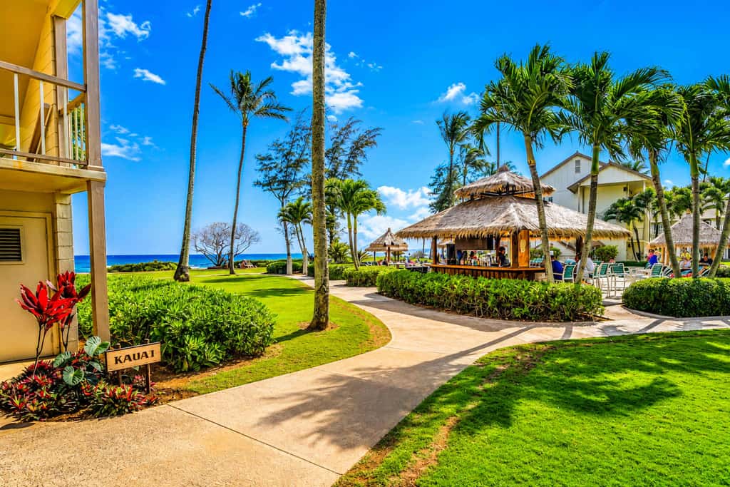 Islander on the Beach 155
