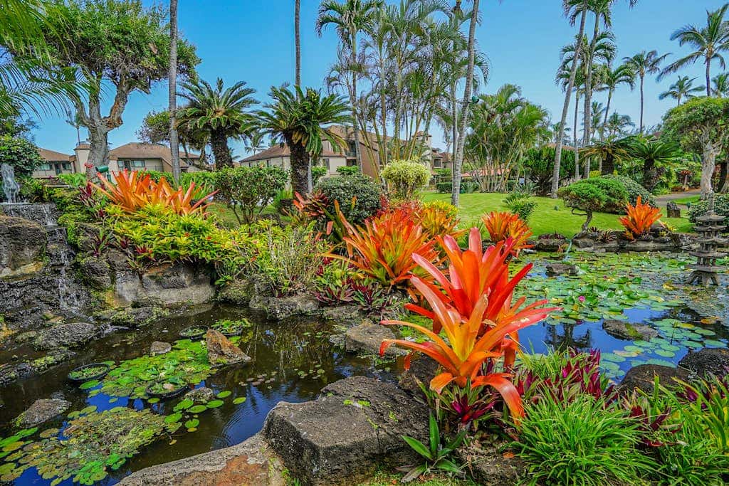 Pono Kai Resort D101