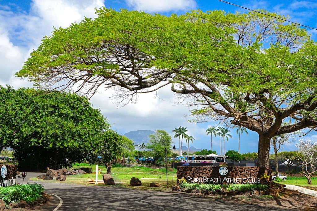 Manualoha 608